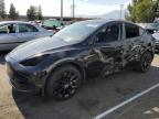 TESLA MODEL Y photo