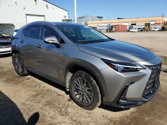 2024 LEXUS NX 250 BAS 2T2ADCEZ4RC004990