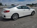 HONDA ACCORD EXL photo