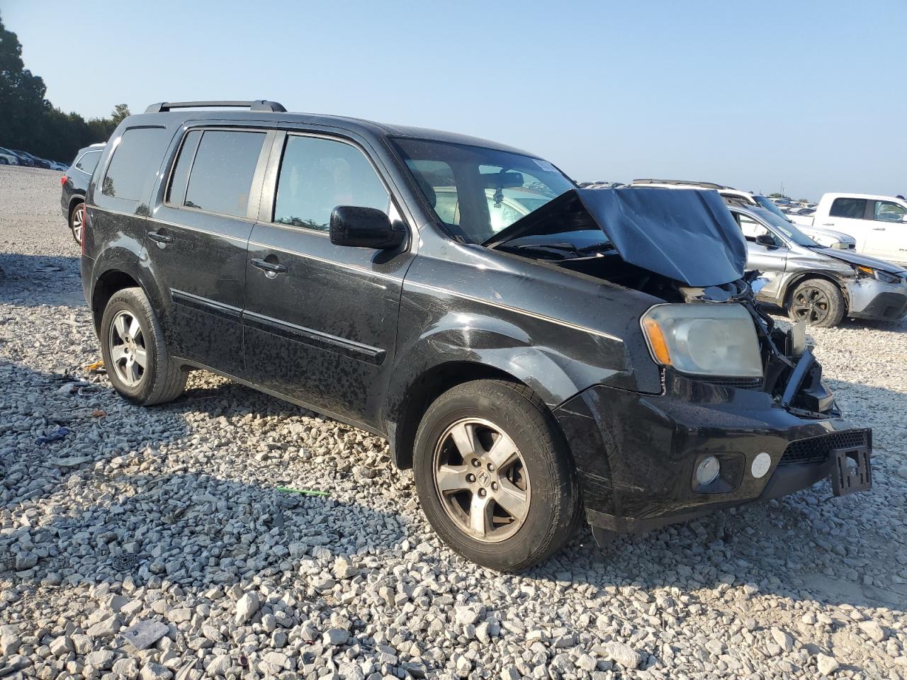 Lot #2828633097 2011 HONDA PILOT EXL