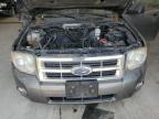 FORD ESCAPE XLT photo