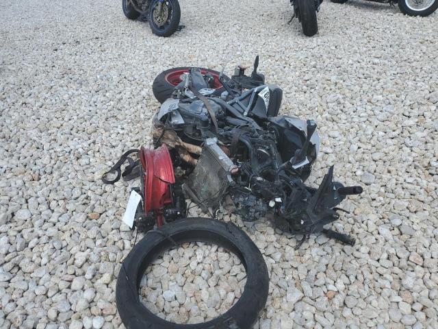 2024 SUZUKI GSX800 F JS1EM13B6R7100776