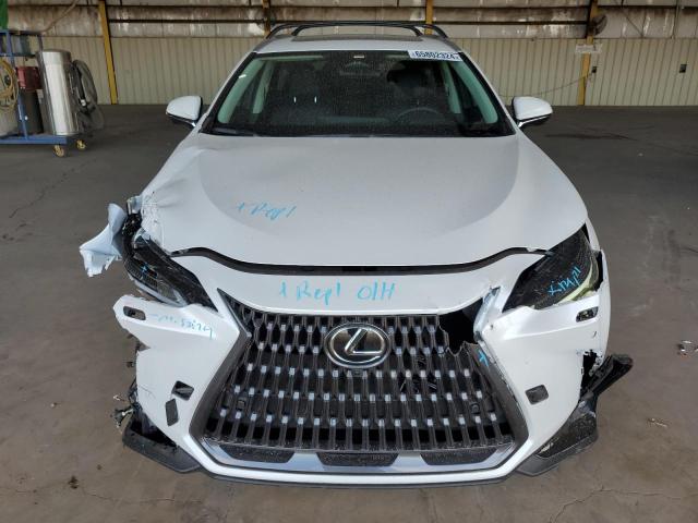 2024 LEXUS NX 350 LUX 2T2HGCEZ4RC056514