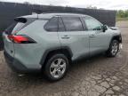 TOYOTA RAV4 XLE photo