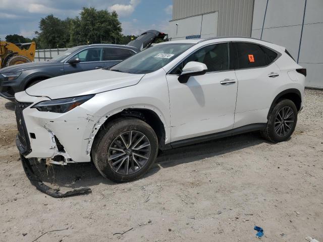 2024 Lexus NX, 250 Premium