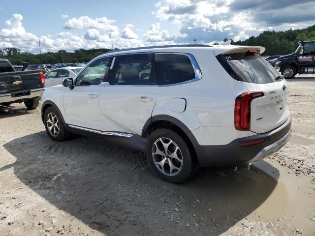 2020 KIA TELLURIDE - 5XYP3DHC1LG083674