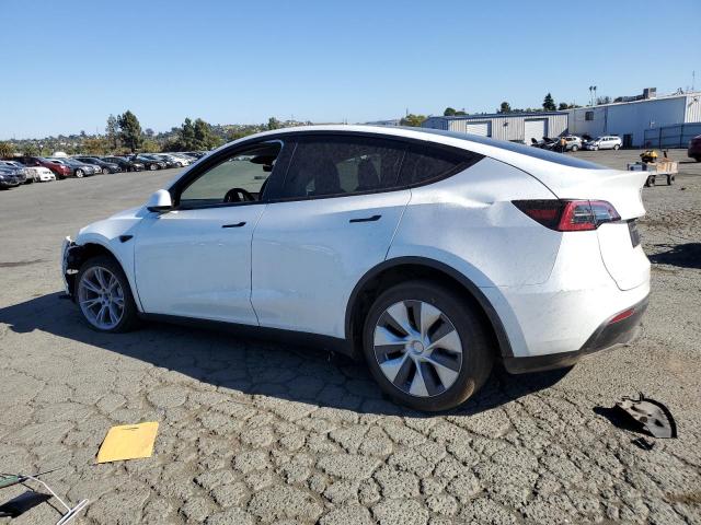 VIN 7SAYGDEE0RF982107 2024 Tesla MODEL Y no.2