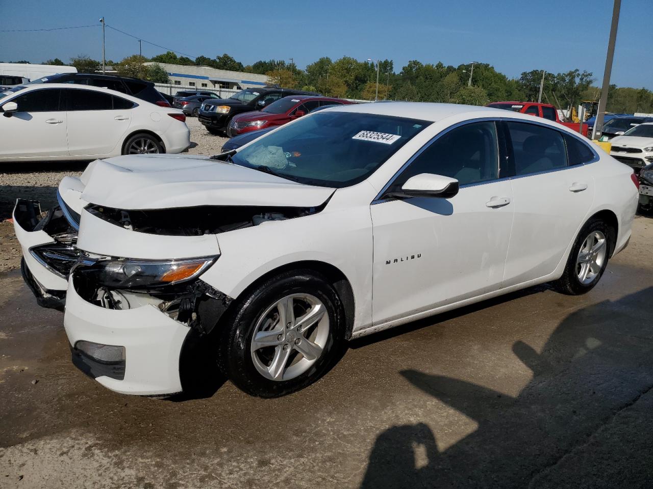 Lot #2974811103 2019 CHEVROLET MALIBU LS