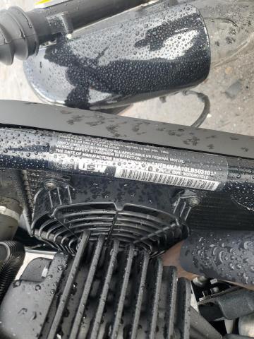 2020 HARLEY-DAVIDSON XG500 1HD4NAA10LB503101