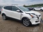 Lot #3024078631 2015 FORD ESCAPE TIT