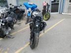 Lot #3029939806 2024 YAMAHA YZFR7