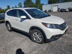 HONDA CR-V EX photo