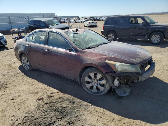 2010 HONDA ACCORD EXL 1HGCP2F80AA196231  68182384