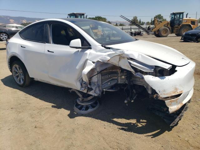 2023 TESLA MODEL Y - 7SAYGDEE5PF861196