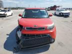 KIA SOUL + photo