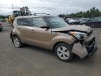 KIA SOUL photo