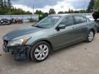 HONDA ACCORD EX photo