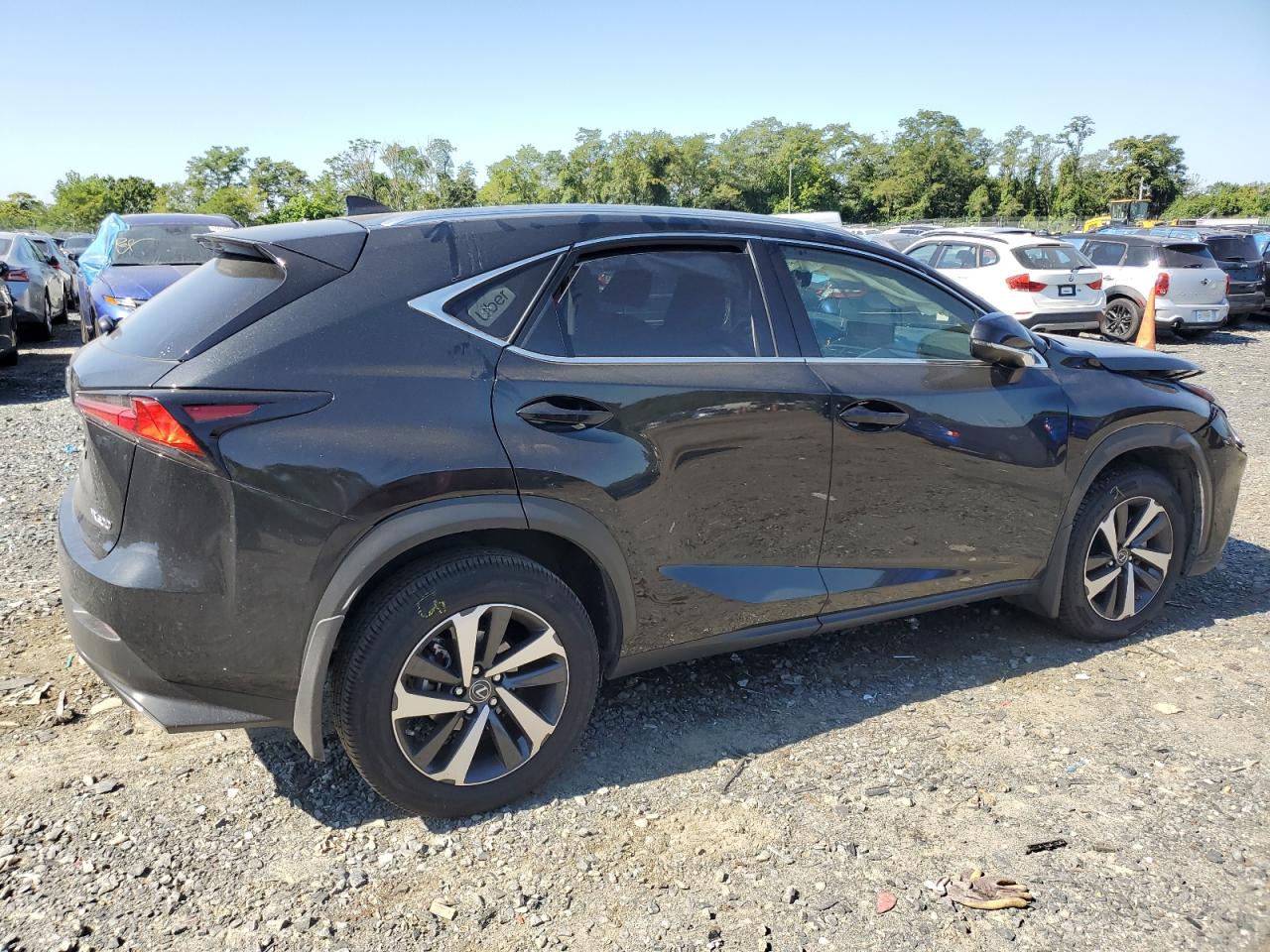 Lot #2981308779 2021 LEXUS NX 300 BAS