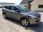 FORD ESCAPE SE photo