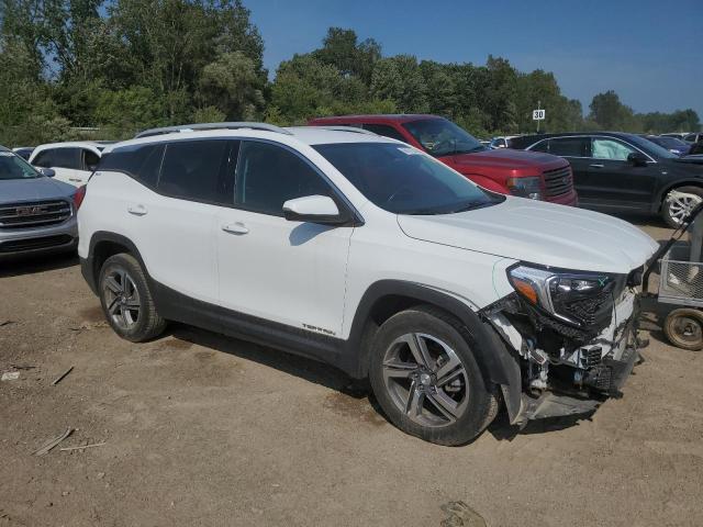2019 GMC TERRAIN SL - 3GKALPEV6KL293566