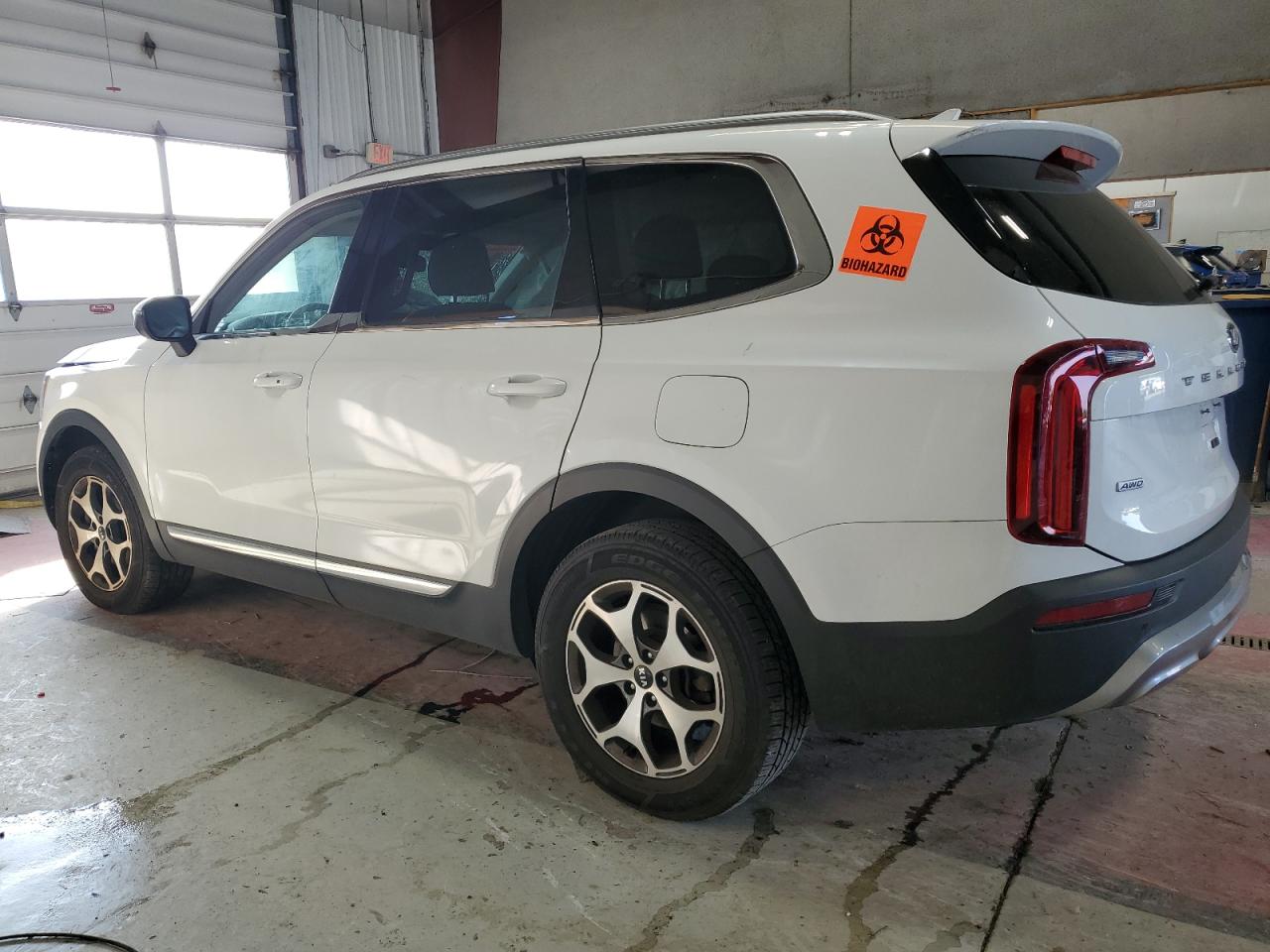 Lot #2987060484 2020 KIA TELLURIDE