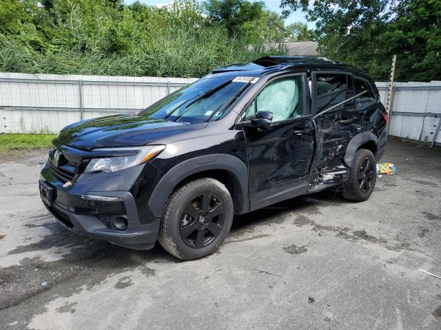 2022 HONDA PILOT TRAI 5FNYF6H85NB052408  66280084