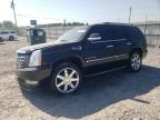 CADILLAC ESCALADE L photo