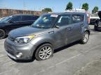 KIA SOUL + photo