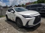 LEXUS NX 350 photo