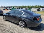 HONDA ACCORD HYB photo