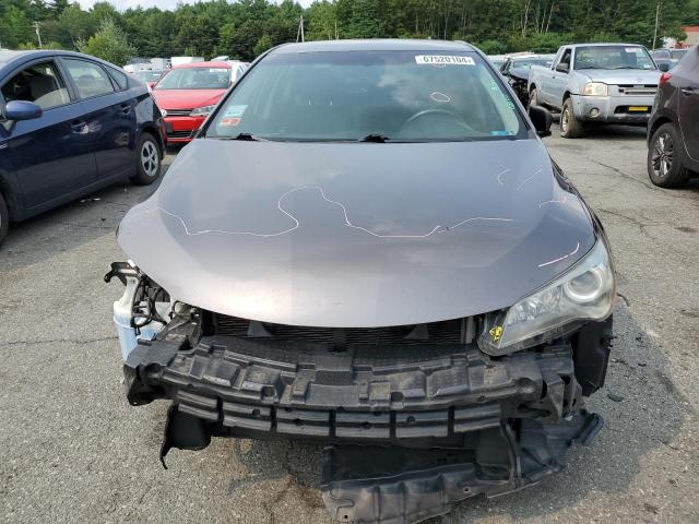 2016 TOYOTA CAMRY LE - 4T1BF1FK8GU141919