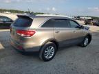 KIA SORENTO LX photo