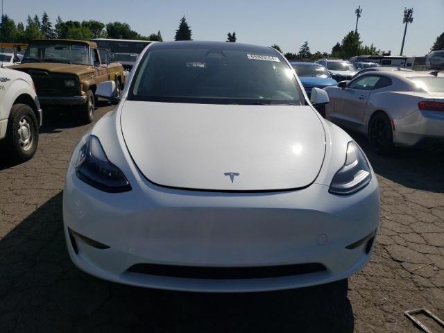 2023 TESLA MODEL Y - 7SAYGDEE4PF835303