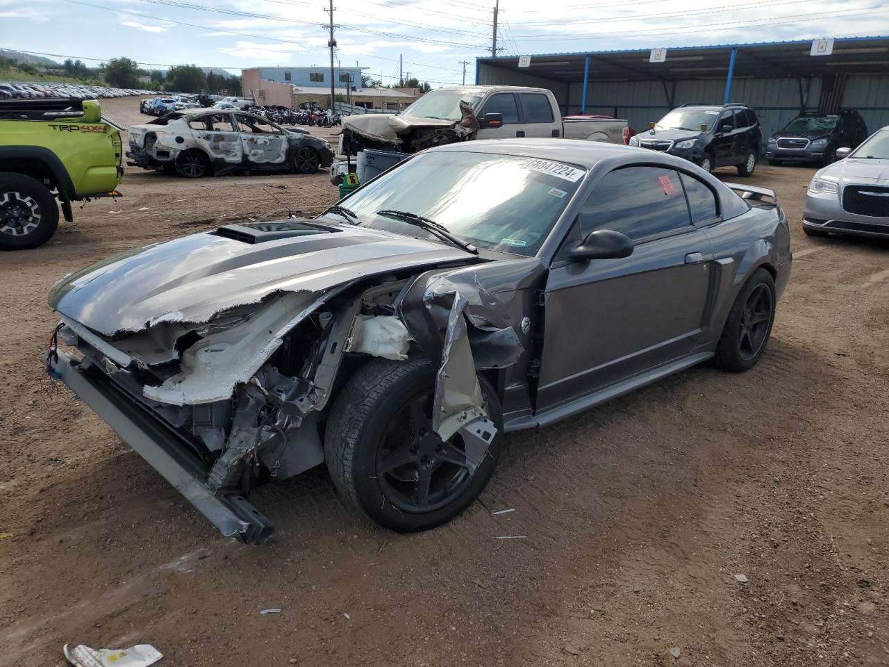 Lot #2862814292 2004 FORD MUSTANG MA