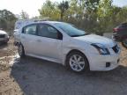 NISSAN SENTRA 2.0 photo