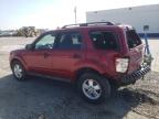 FORD ESCAPE XLT photo