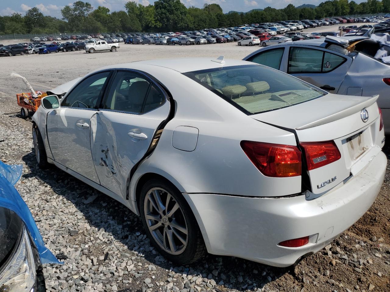 Lot #2768894208 2008 LEXUS IS 250