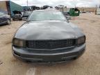 Lot #3030492460 2005 FORD MUSTANG