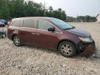 HONDA ODYSSEY EX photo