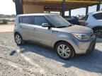 KIA SOUL + photo