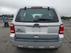 FORD ESCAPE XLS photo