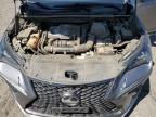 LEXUS NX 300 BAS photo