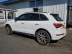 AUDI SQ5 PREMIU photo