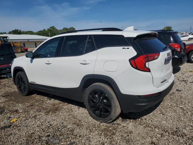 2020 GMC TERRAIN SL 3GKALTEV9LL343354  69289884