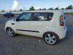 KIA SOUL + photo