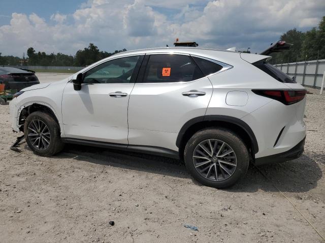 VIN 2T2GDCAZ0RC012021 2024 Lexus NX, 250 Premium no.2