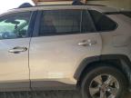 TOYOTA RAV4 XLE photo