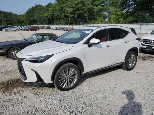 2024 Lexus NX, 350 Luxury