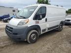 RAM PROMASTER photo