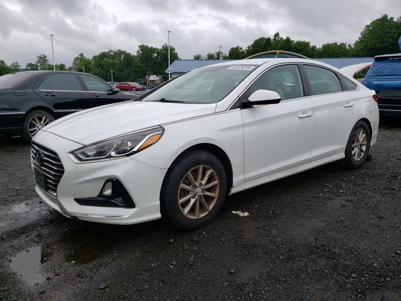 Lot #3034426726 2019 HYUNDAI SONATA SE